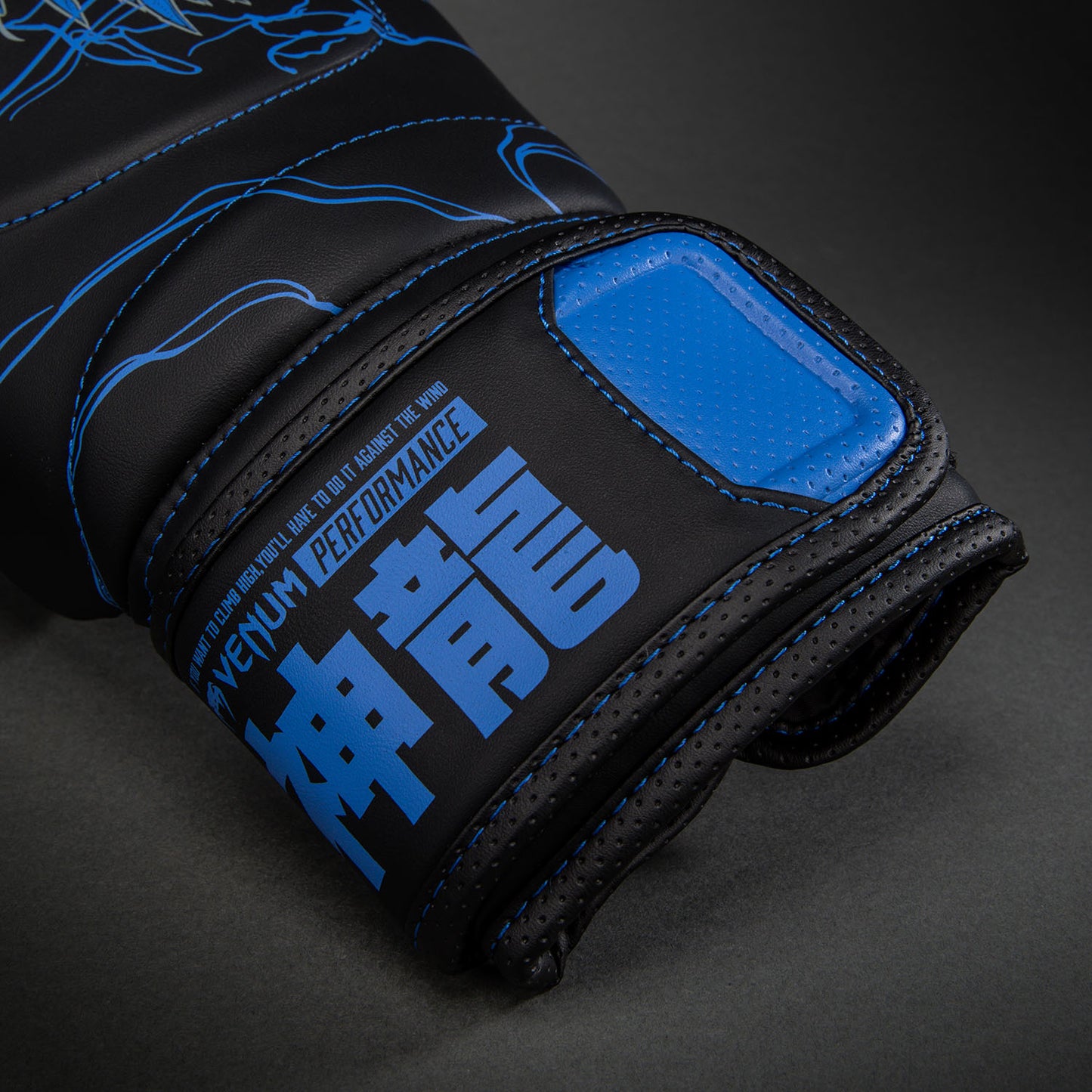 Venum Thunder Dragon Boxhandschuhe – Schwarz/Königsblau