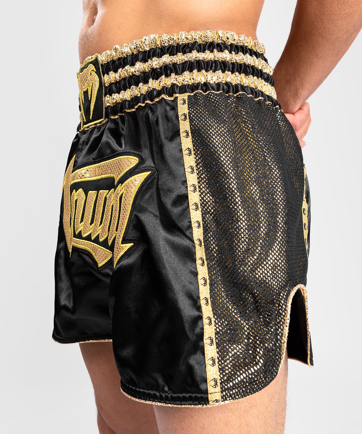 Venum Absolute 2.0 Muay Thai Shorts - Schwarz/Gold