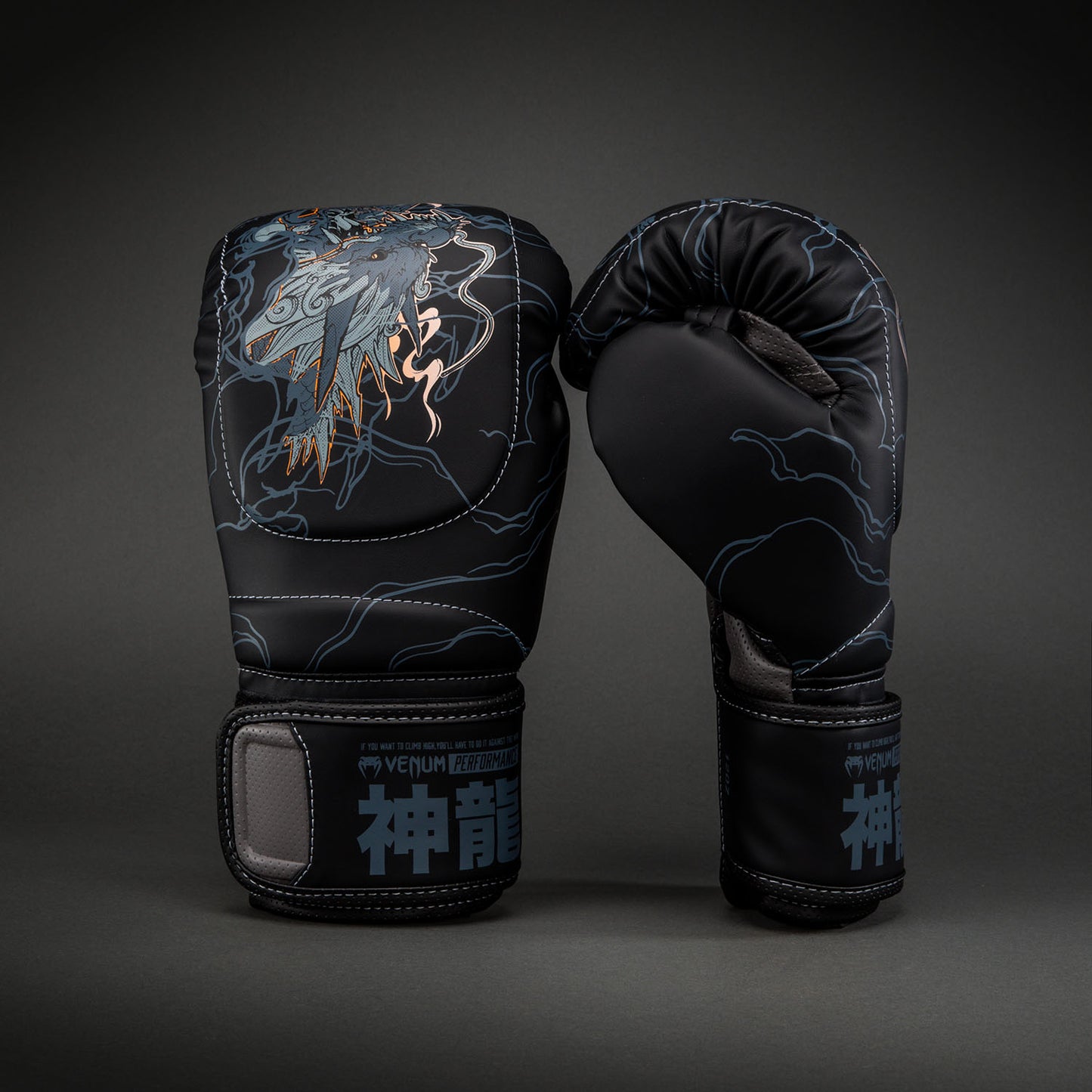 Venum Thunder Dragon Boxhandschuhe – Schwarz/Grau/Kupfer