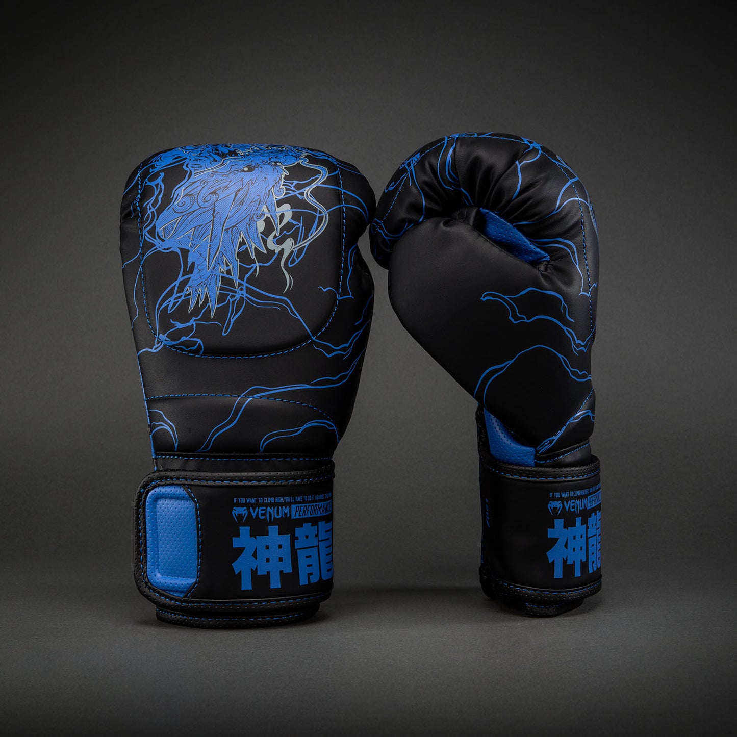 Venum Thunder Dragon Boxhandschuhe – Schwarz/Königsblau
