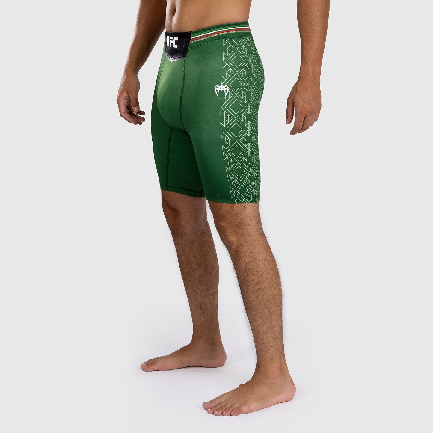 Noche UFC by Venum  Authentic Fight Night Herren Vale Tudo Shorts - Grün