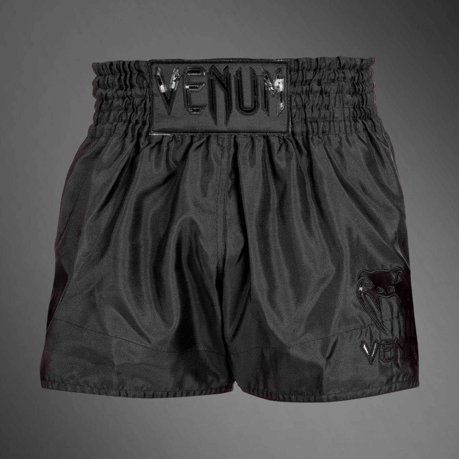 Auswahl an Muay Thai