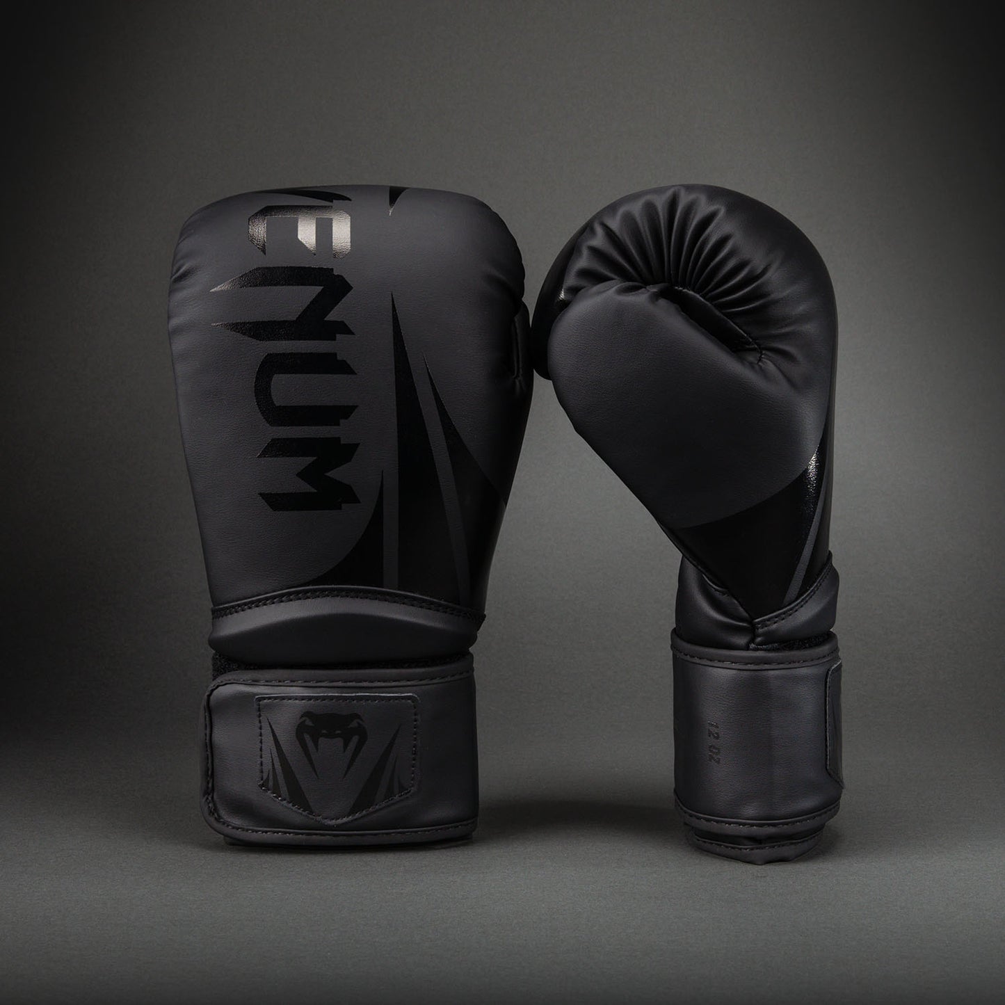 Venum Challenger 2.5 Boxhandschuhe – Schwarz/Schwarz