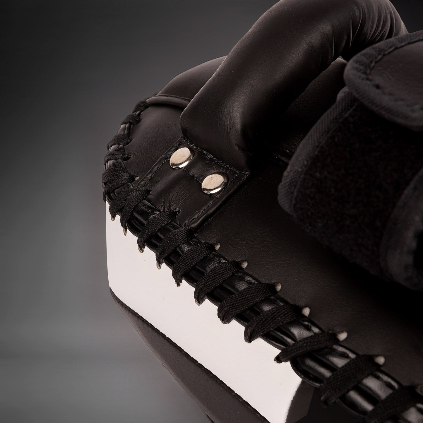 VENUM KICKBOXING – LIGHT KICK PAD 2.0