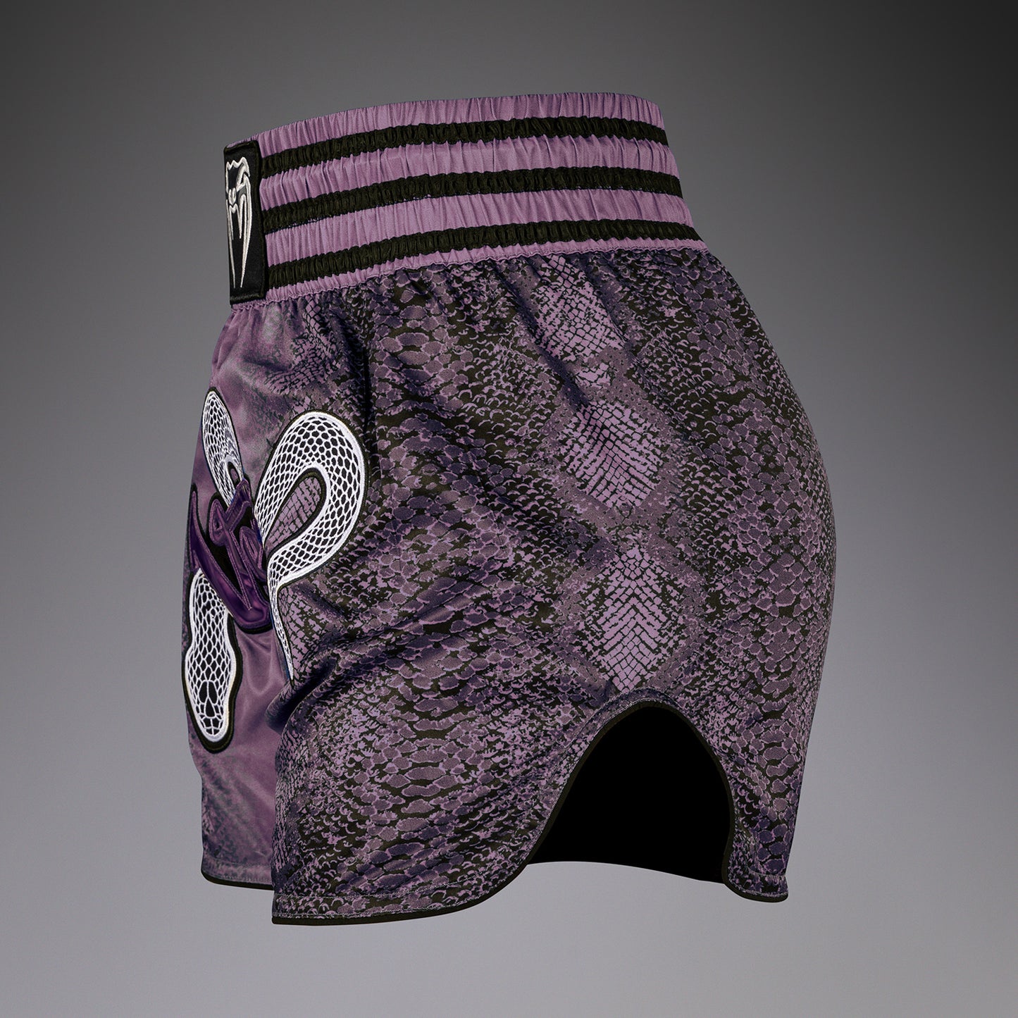 Venum Amazonia Frauen Muay Thai Shorts - Lila