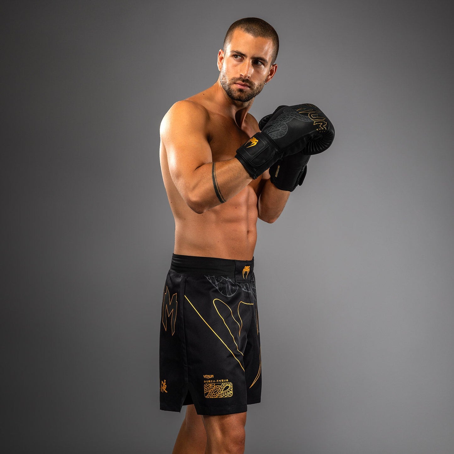 Venum Serpenti Fight Shorts – Schwarz/Silber/Gold