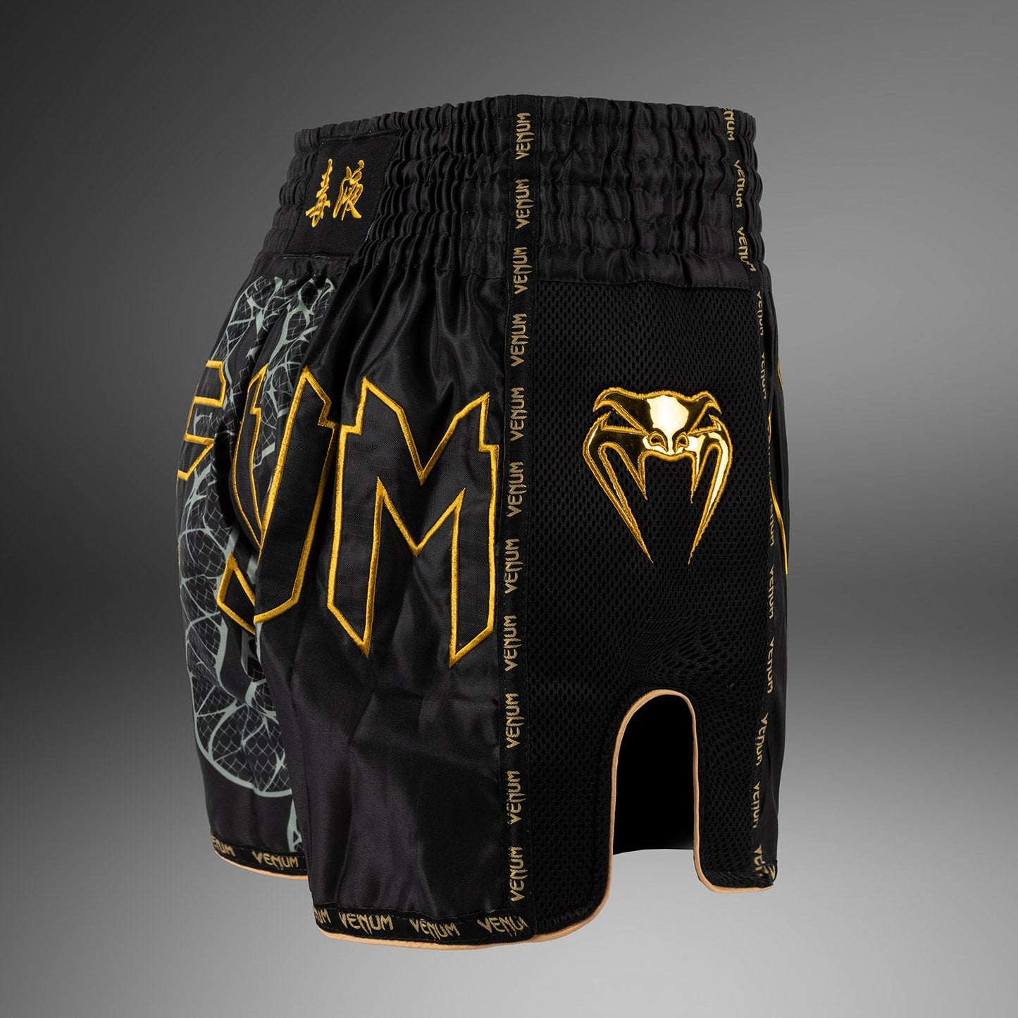 Venum Serpenti Muay Thai Shorts – Schwarz/Silber/Gold
