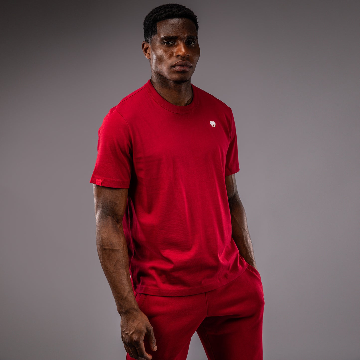 Venum Silent Power T-Shirt - Kirschrot