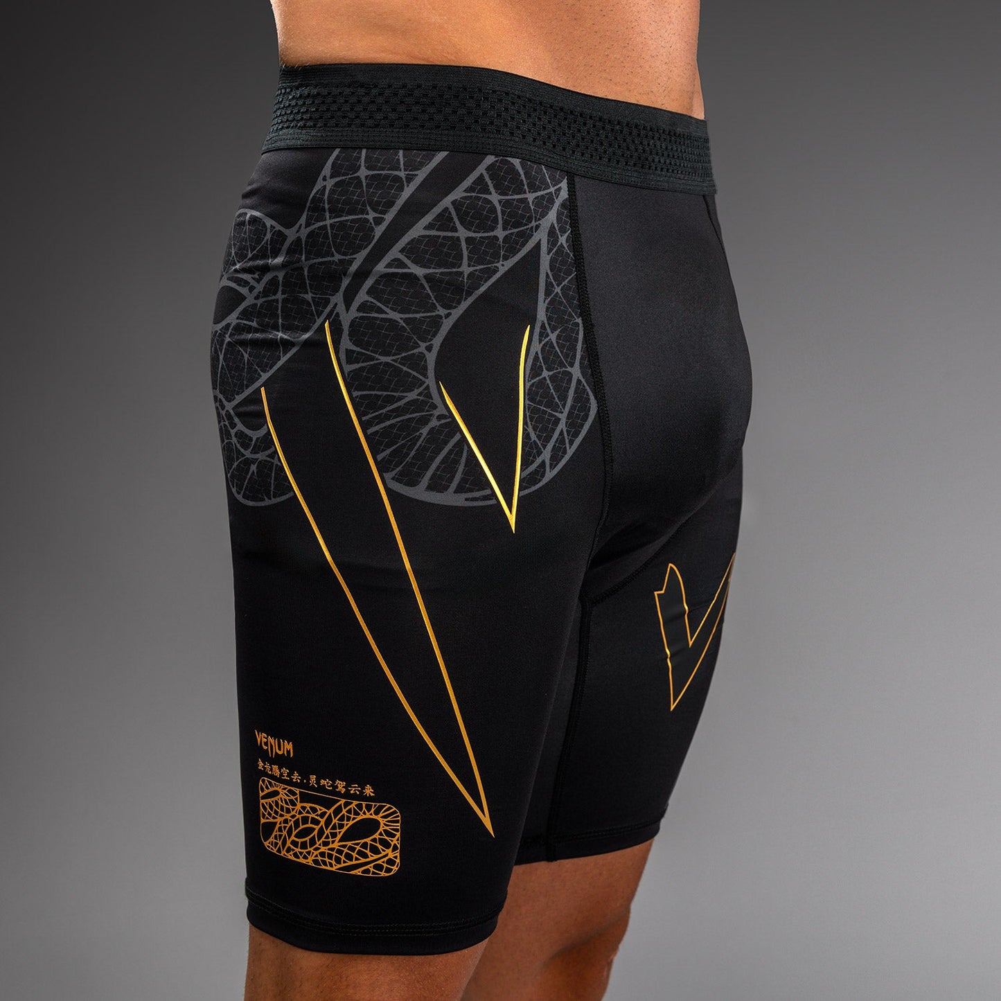 Venum Serpenti Vale Tudo Shorts – Schwarz/Silber/Gold