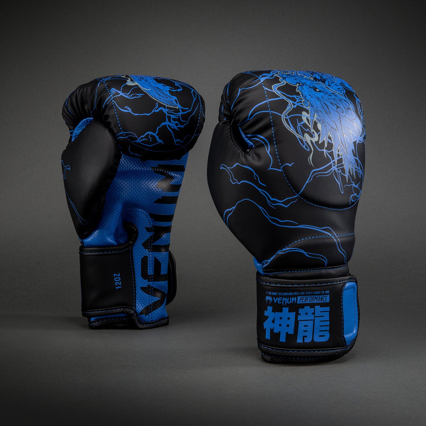 Venum Thunder Dragon Boxhandschuhe – Schwarz/Königsblau