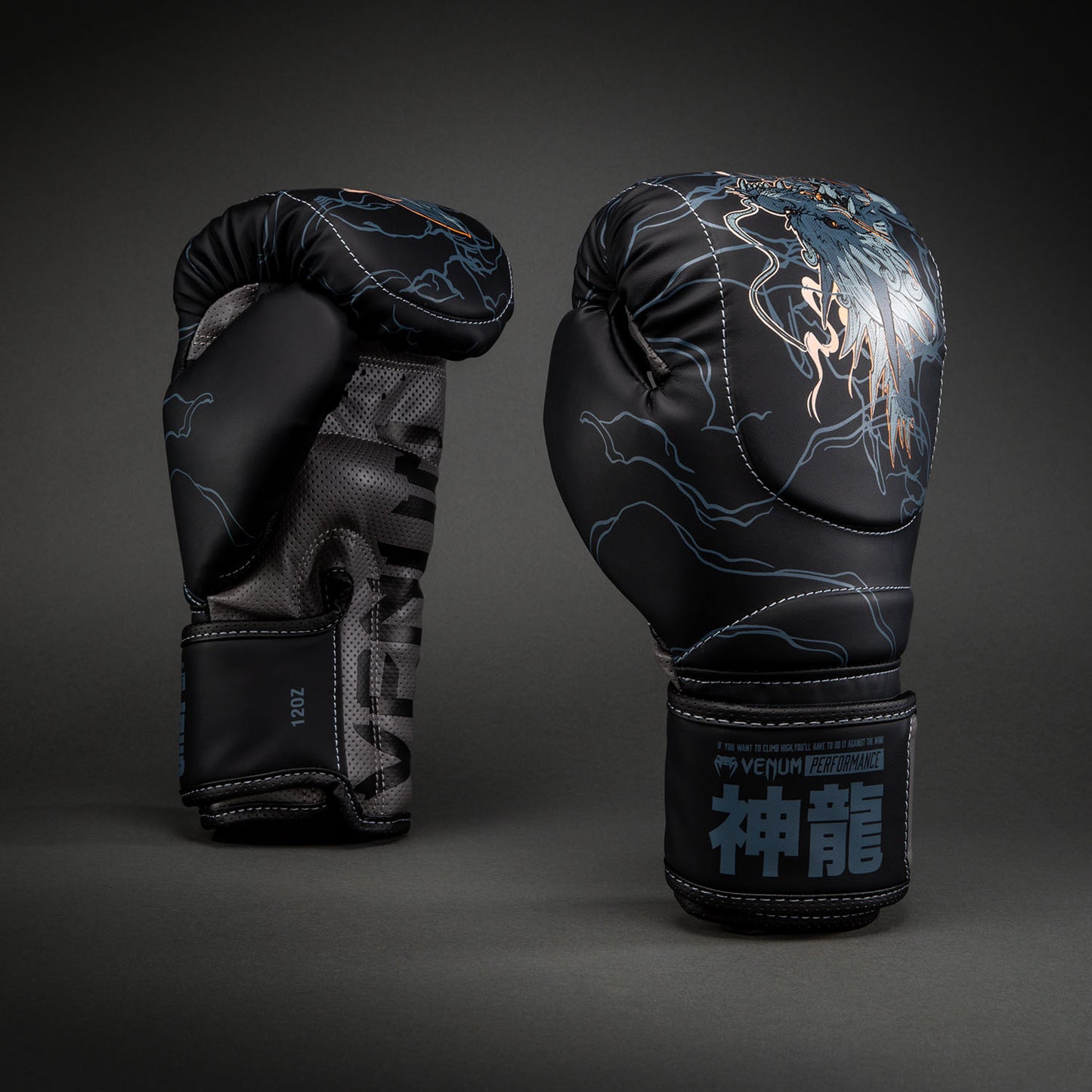 Venum Thunder Dragon Boxhandschuhe – Schwarz/Grau/Kupfer