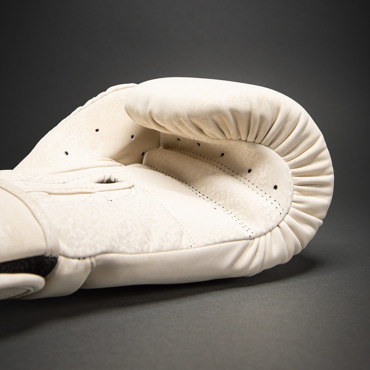 Venum Stone 2.0 Boxhandschuhe – Sand