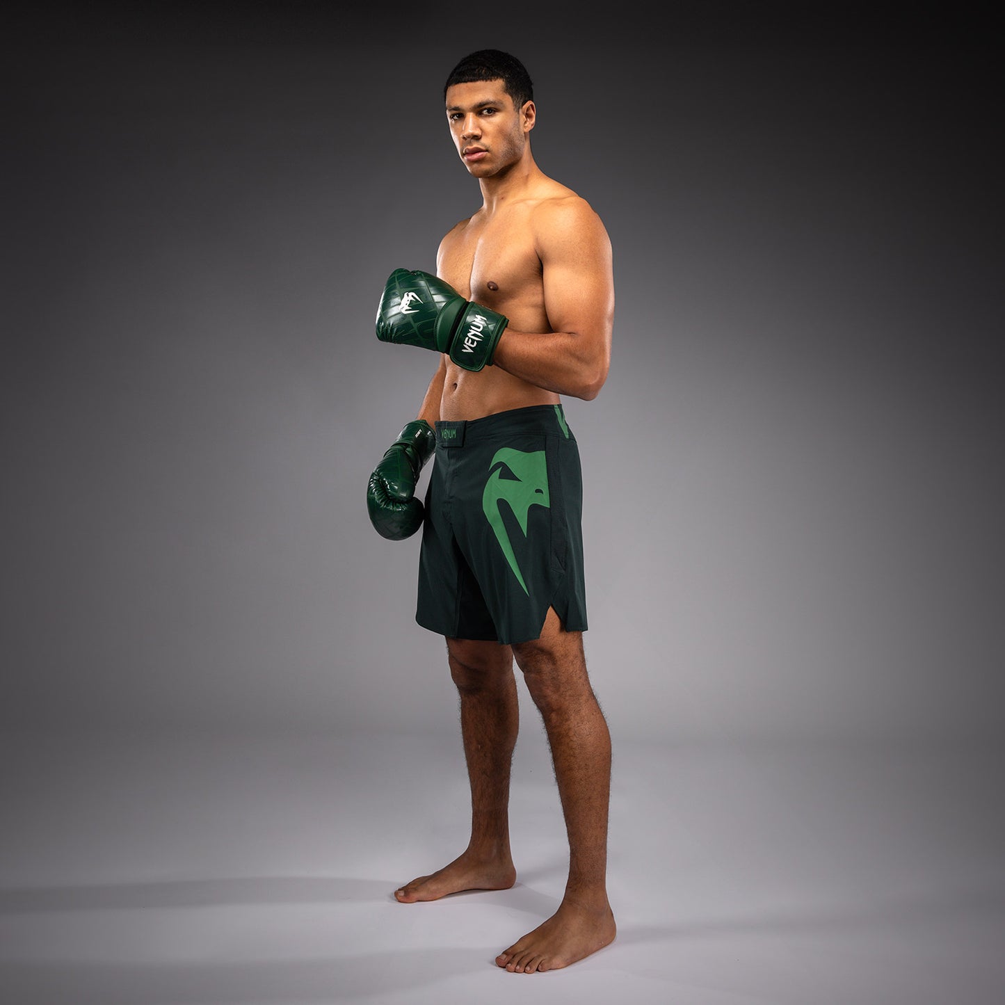 Venum Light 5.0 Fightshorts - Waldgrün/Hellgrün